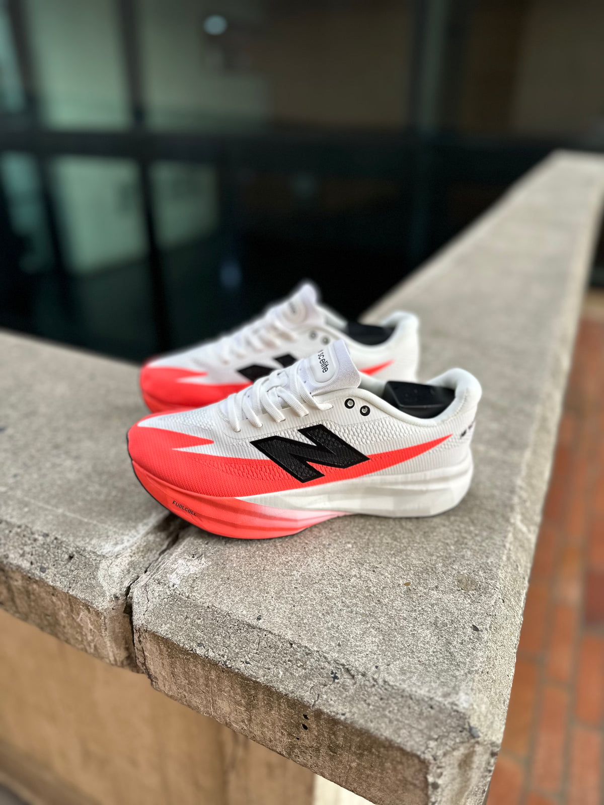 NEW BALANCE REBEL V5