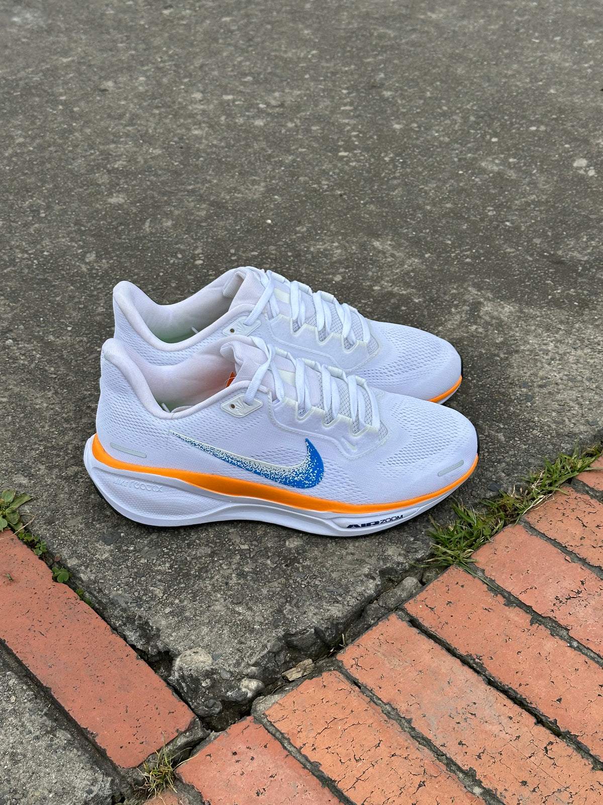 NIKE PEGASUS BLANCA