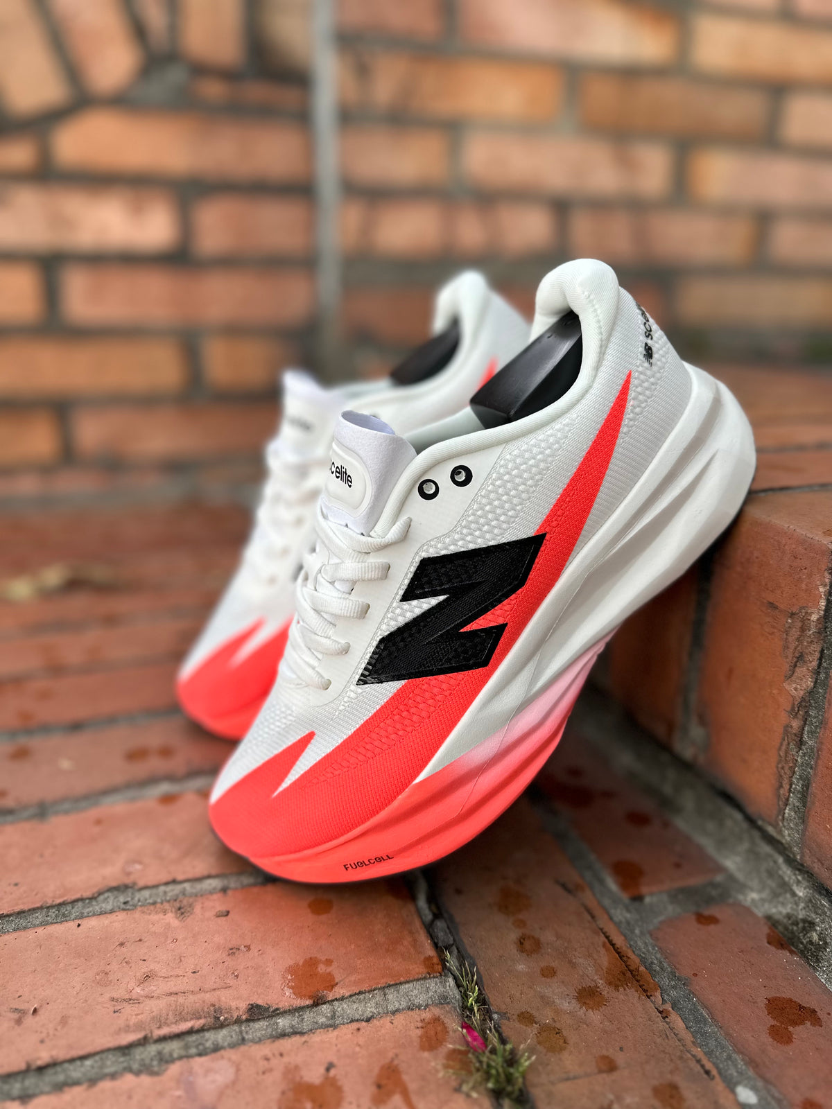 NEW BALANCE REBEL V5