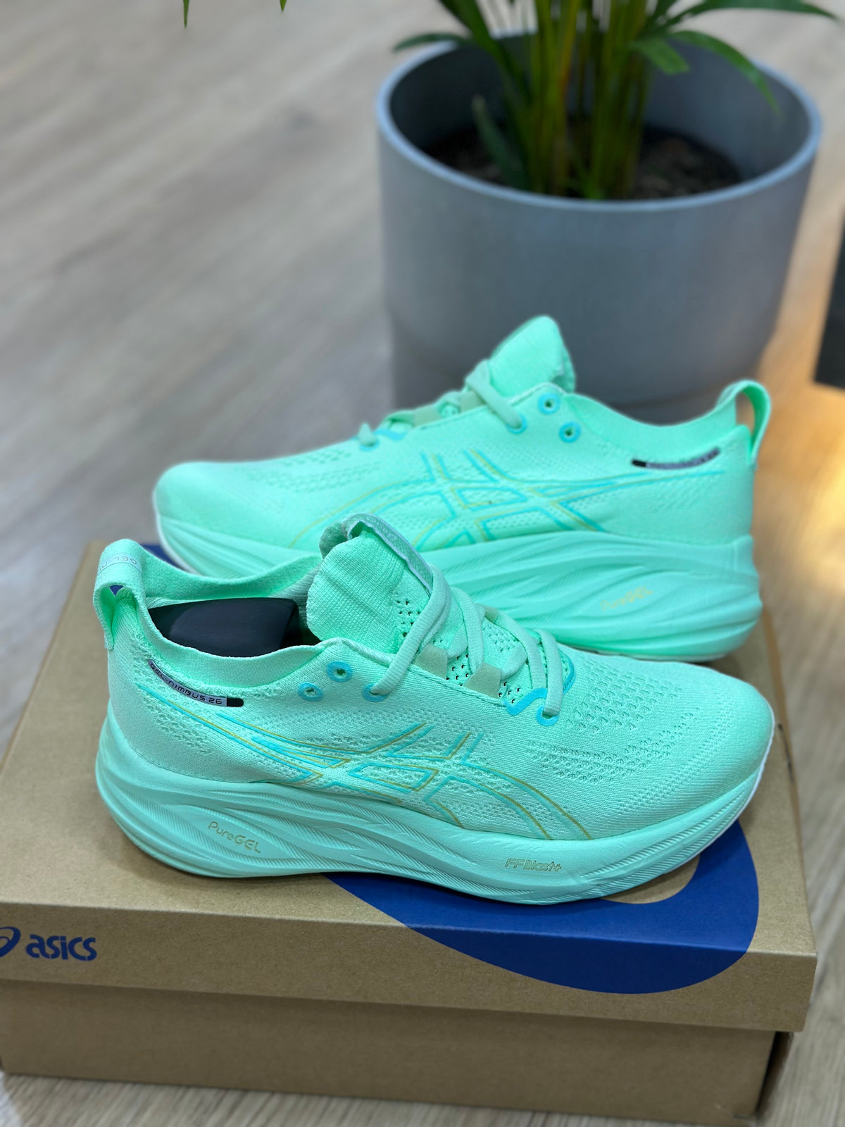 NIMBUS 26 VERDE MENTA