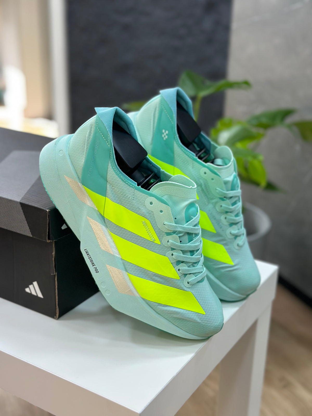 ADIOS PRO 4 VERDE MENTA