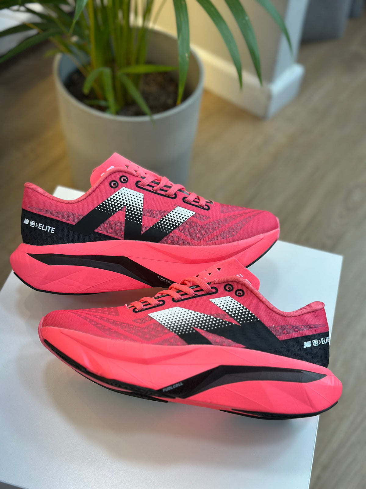 NB ELITE